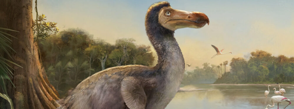 ⓒ데일리포스트=이미지 제공/Unsplash