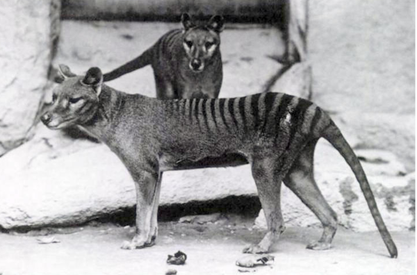 ⓒ데일리포스트=이미지 제공/Wikimeida commons