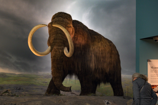 ⓒ데일리포스트=이미지 제공/Flickr