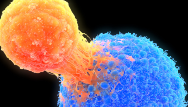 ⓒ데일리포스트=이미지 제공/Pixabay