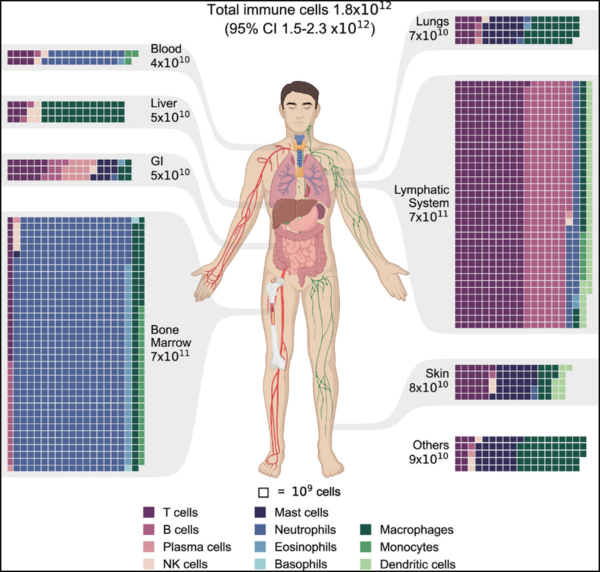 ⓒ데일리포스트=이미지 제공/PNAS