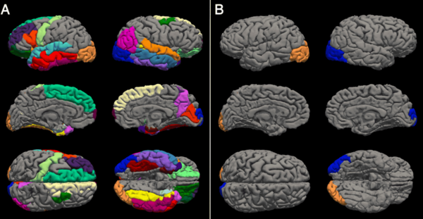 ⓒ데일리포스트=이미지 제공/PNAS