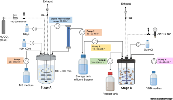 ⓒ데일리포스트=이미지 제공/Trends in Biotechnology
