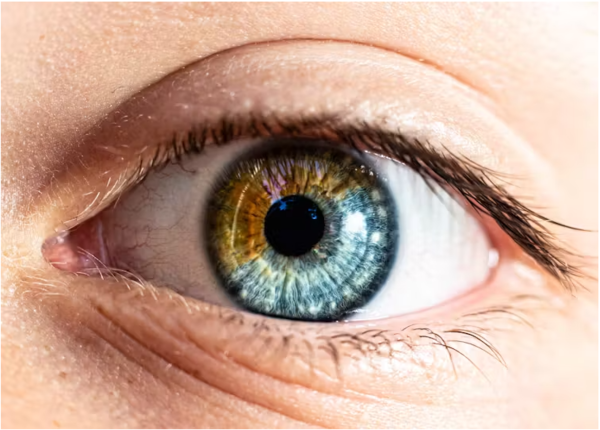 ⓒ데일리포스트=이미지 제공/Unsplash 