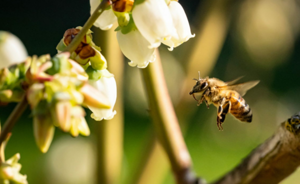 ⓒ데일리포스트=이미지 제공/Pixabay