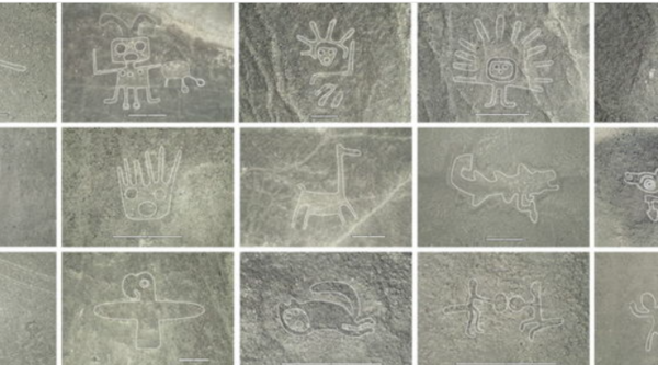 ⓒ데일리포스트=이미지 제공/PNAS