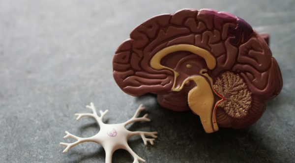 ⓒ데일리포스트=이미지 제공/Unsplash