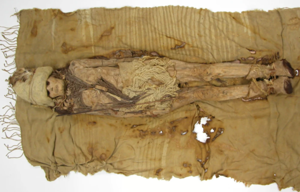 ⓒ데일리포스트=이미지 제공/Cell 