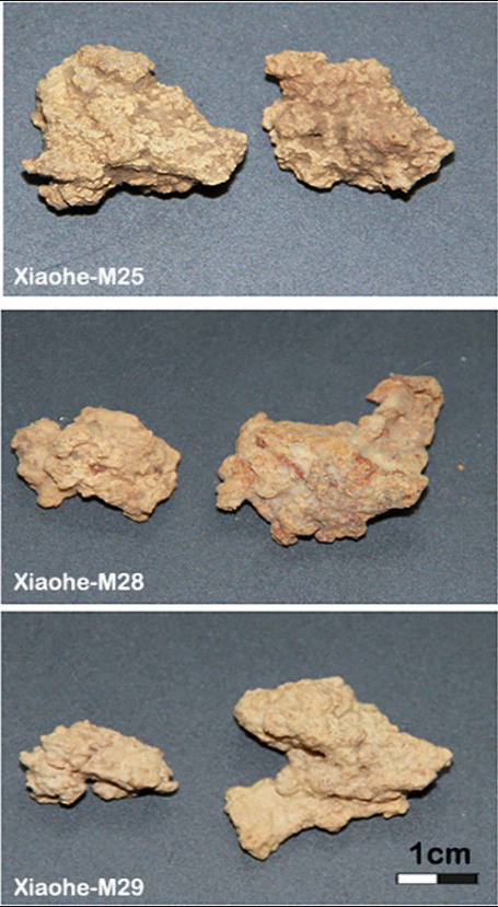 ⓒ데일리포스트=이미지 제공/Cell 