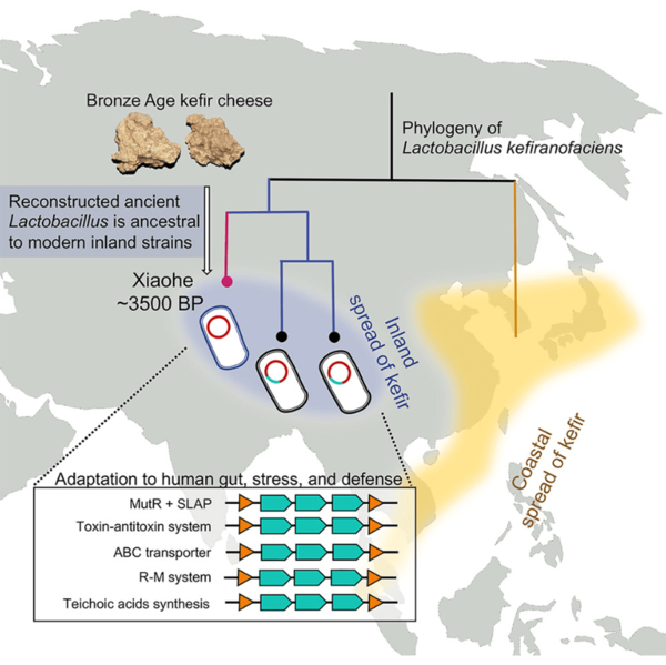 ⓒ데일리포스트=이미지 제공/Cell 