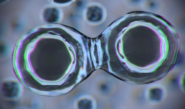  ⓒ데일리포스트=이미지 제공/Flickr