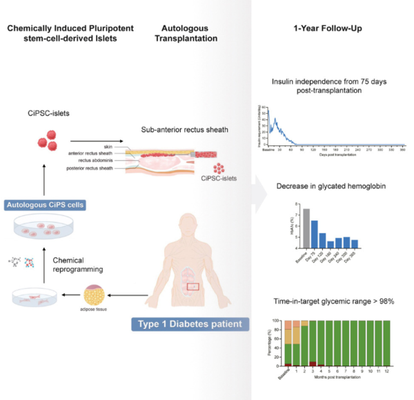  ⓒ데일리포스트=이미지 제공/Cell