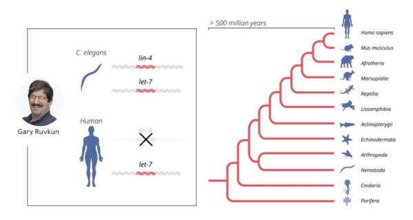 ⓒ데일리포스트=이미지 제공/nobelprize.org