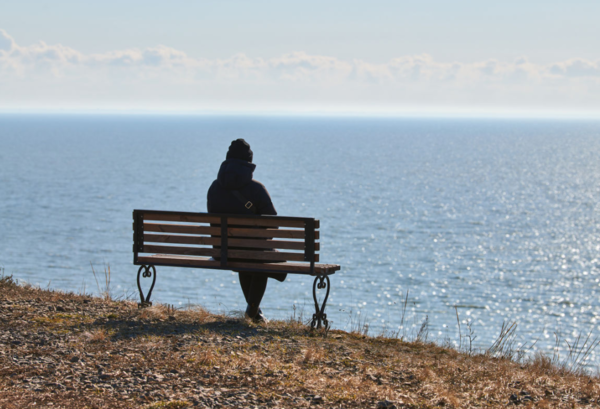 ⓒ데일리포스트=이미지 제공/Unsplash