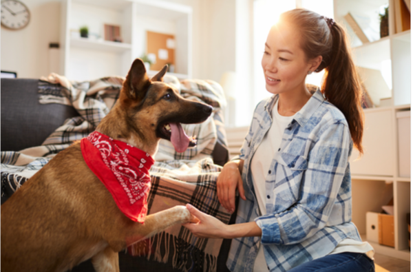 ⓒ데일리포스트=이미지 제공/Unsplash