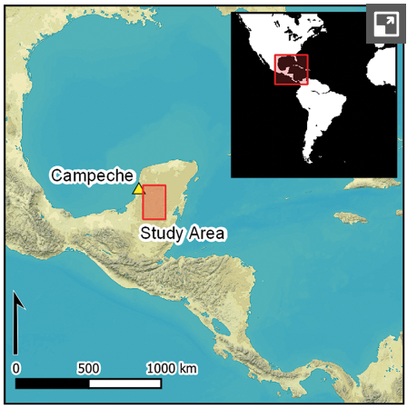 ⓒ데일리포스트=이미지 제공/Antiquity