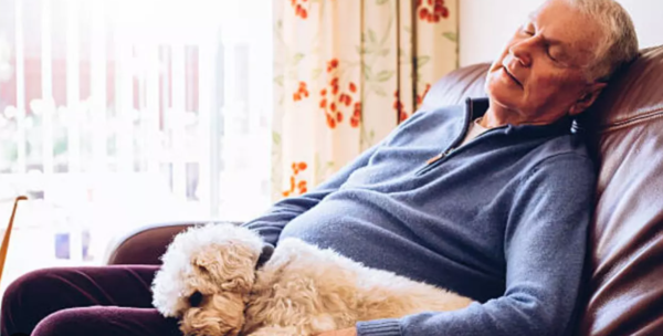 ⓒ데일리포스트=이미지 제공/Unsplash