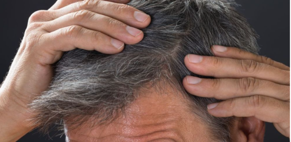 ⓒ데일리포스트=이미지 제공/Unsplash