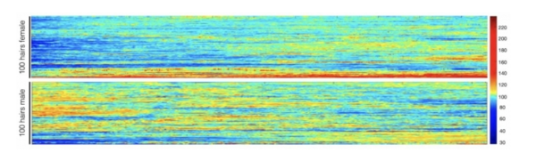 ⓒ 데일리포스트 이미지 출처=Columbia University Irving Medical Center/eLife