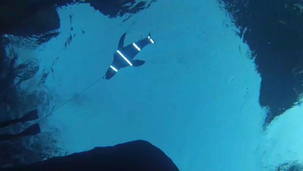 ⓒ데일리포스트=이미지 제공/Current Biology