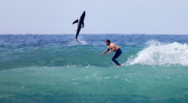 ⓒ데일리포스트=이미지 제공/CNN 뉴스 캡처 