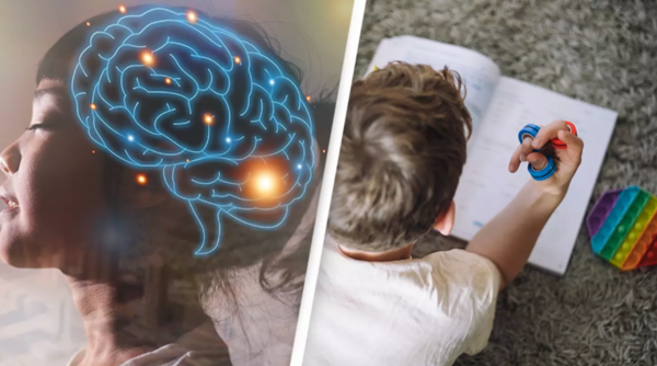 ⓒ데일리포스트=이미지 제공/Pixabay