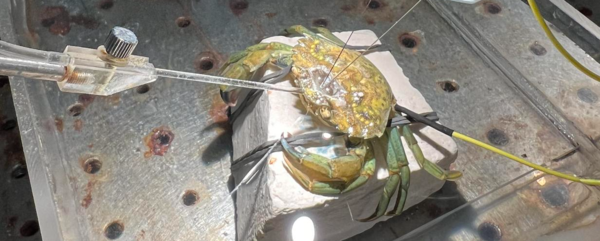 ⓒ데일리포스트=이미지 제공/Biology