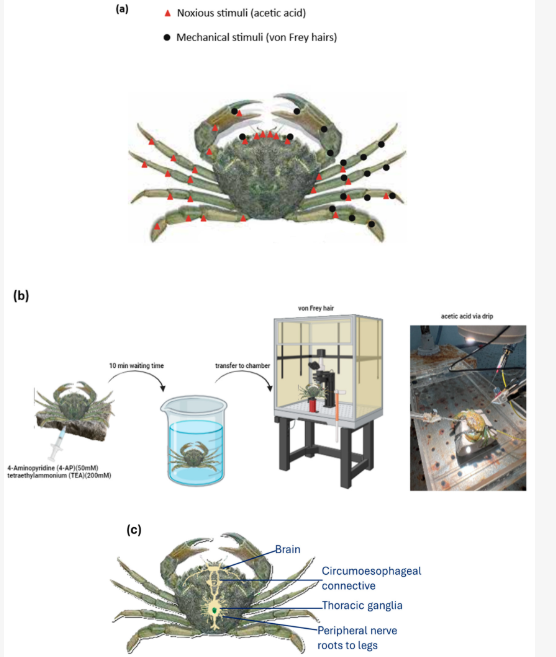 ⓒ데일리포스트=이미지 제공/Biology