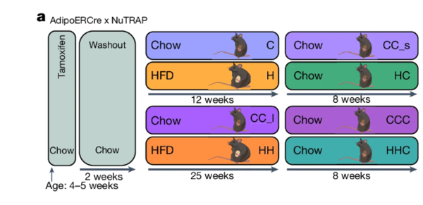 ⓒ데일리포스트=이미지 제공/Nature