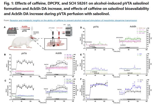 ⓒ데일리포스트=이미지 제공/Translational psychiatry