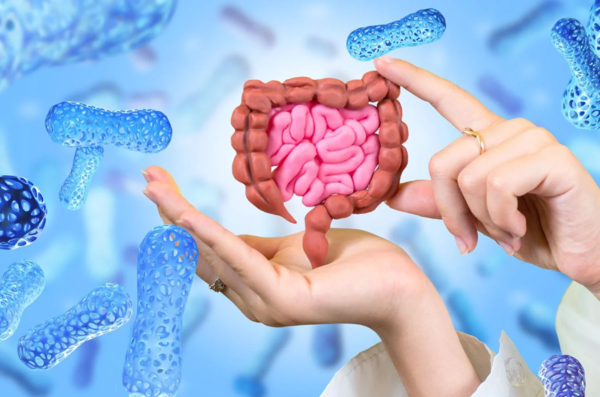 ⓒ데일리포스트=이미지 제공/Flickr