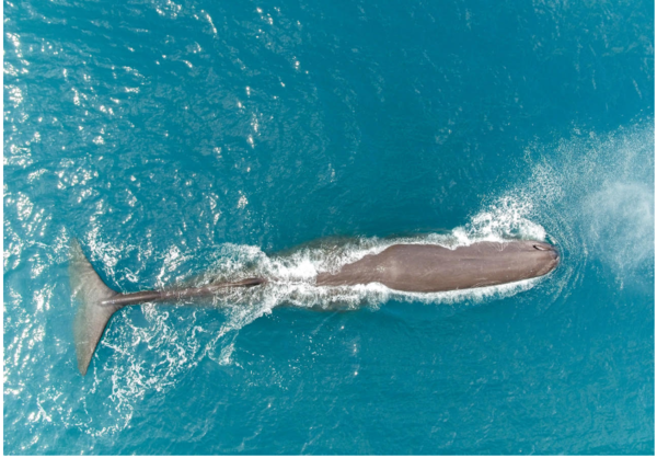 ⓒ데일리포스트=이미지 제공/Unsplash