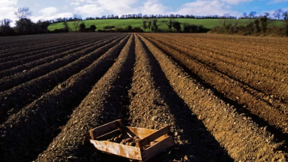 ⓒ데일리포스트=이미지 제공/Flickr