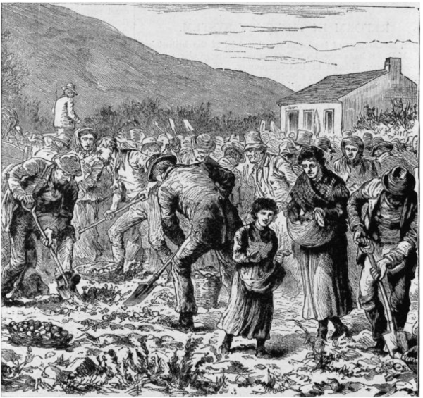 ⓒ데일리포스트=이미지 제공/Wikipedia