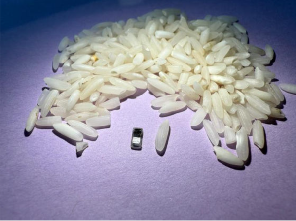 ⓒ데일리포스트=이미지 제공/노스웨스턴대 