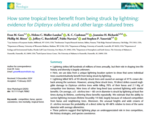 ⓒ데일리포스트=이미지 제공/New Phytologist
