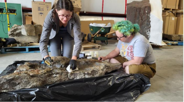 ⓒ데일리포스트=이미지 제공/Victoria Arbour