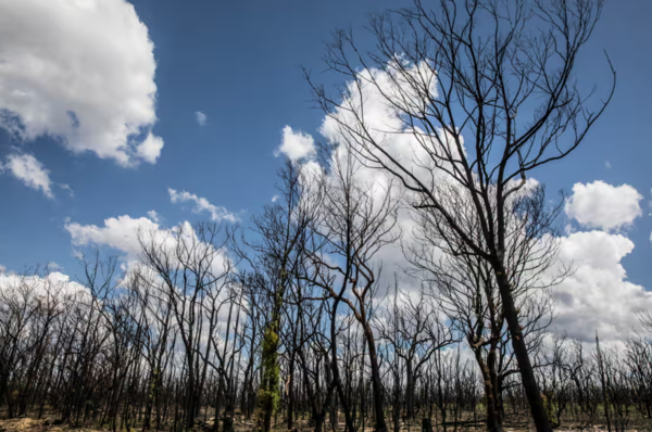 ⓒ데일리포스트=이미지 제공/Flickr