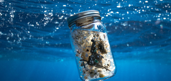 ⓒ데일리포스트=이미지 제공/Pixabay