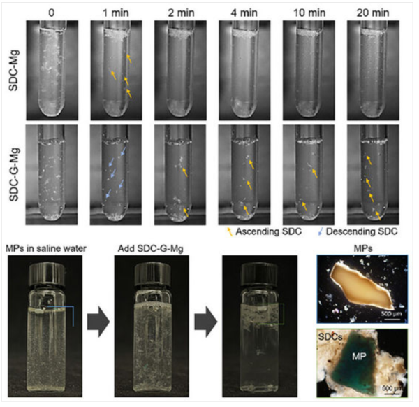 ⓒ데일리포스트=이미지 제공/Advanced Functional Materials