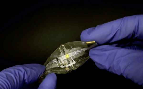 하이드로겔 기반 리튬이온 전지를 손으로 늘리고 있는 모습 ⓒ데일리포스트=이미지 제공/UC Berkeley