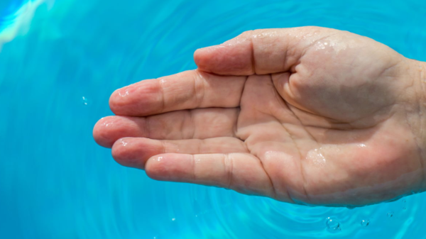 ⓒ데일리포스트=이미지 제공/Unsplash