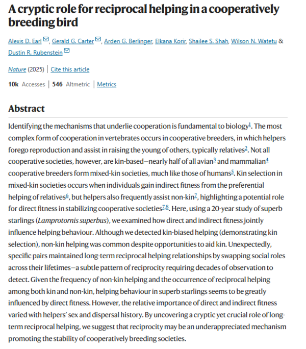 white-browed scrubwren ⓒ데일리포스트=이미지 제공/Nature