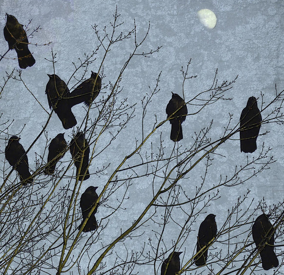 ⓒ데일리포스트=이미지 제공/Unsplash 