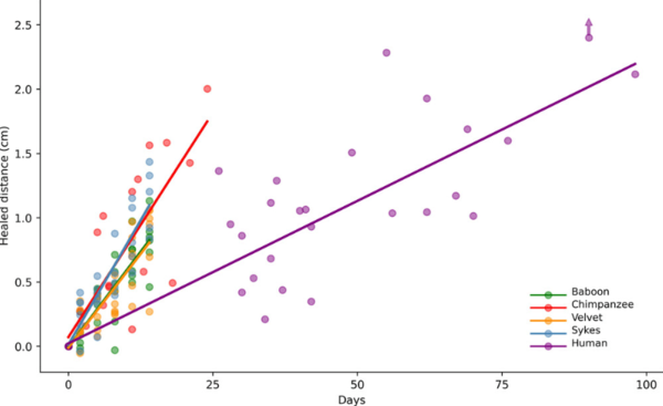 ⓒ데일리포스트=이미지 제공/Proceedings of the Royal Society B: Biological Sciences