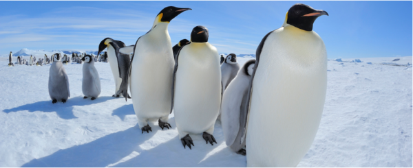 ⓒ데일리포스트=이미지 제공/Pixabay