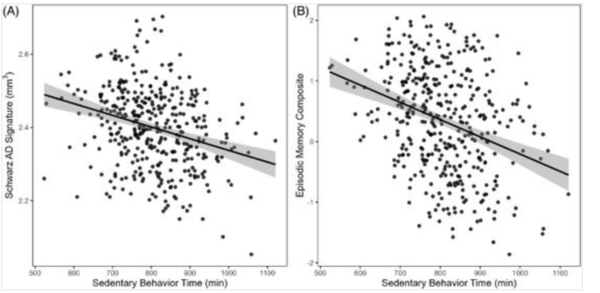 좌식 시간과 인지 기능 저하 간의 음의 상관관계가 확인됐다. (A) 에피소드 기억 점수, (B) 회백질 용적 변화 ⓒ데일리포스트=이미지 제공/Alzheimer's & Dementia: The Journal of the Alzheimer's Association