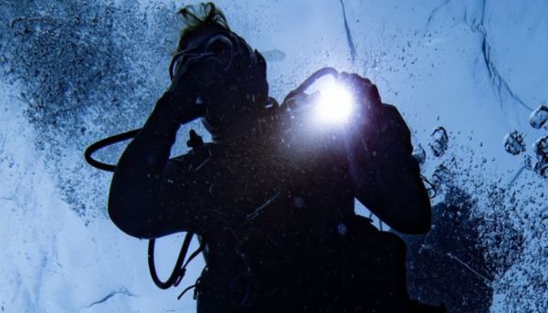 ⓒ데일리포스트=이미지 제공/Pixabay