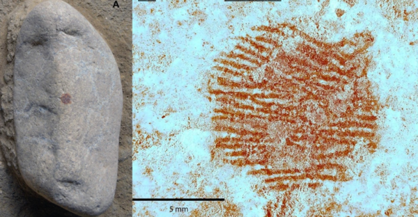 ⓒ데일리포스트=이미지 제공/Journal of Archaeological and Anthropological Sciences