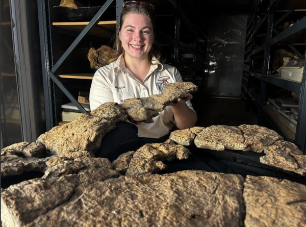 화석화된 공룡 내장 내용물  ⓒ데일리포스트=이미지 제공/Stephen Poropat